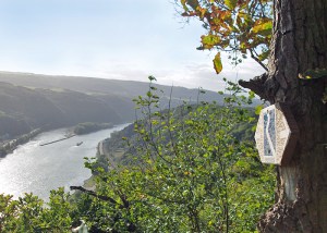 Rheinsteig zwischen Kamp Bornhofen und St. Goarshausen