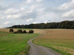 Feldwege nach Andernach