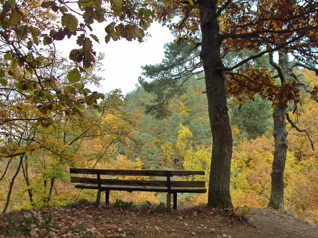 Traumschleife Baybachklamm 5