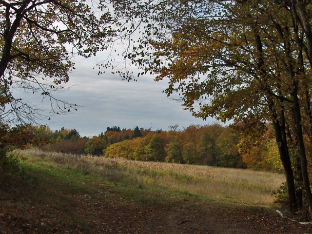 Traumschleife Baybachklamm 6