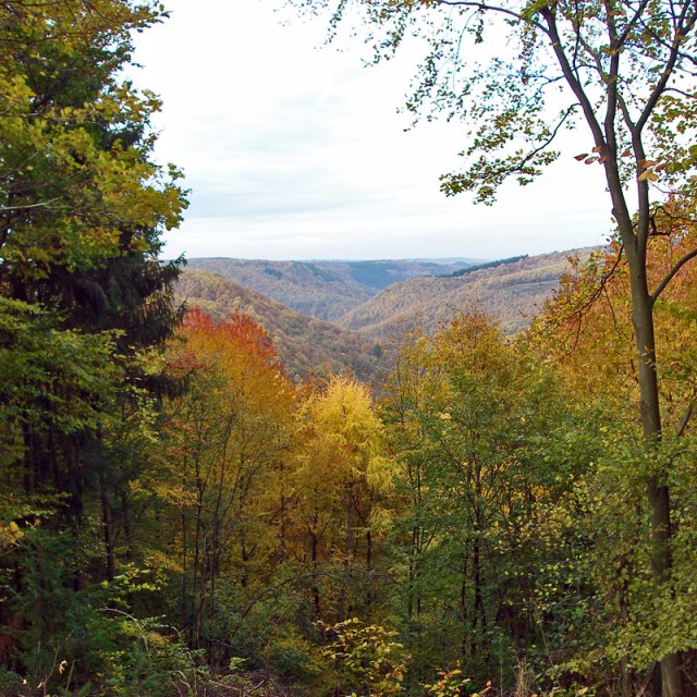 Traumschleife Baybachklamm 8
