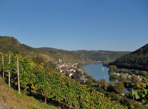 Rückweg nach Hatzenport