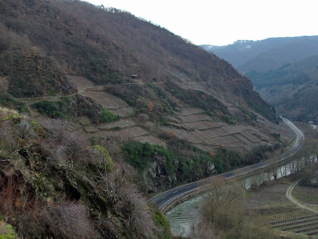 der Rotweinwanderweg