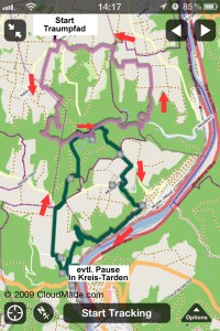 Kombi_Buchsbaum_Traumpfad