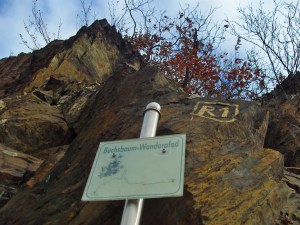 Buchsbaum-Wanderpfad