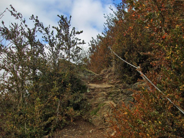 bunter Buchs und Steighilfe