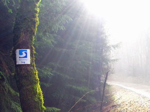 Natursteig Sieg Beschilderung