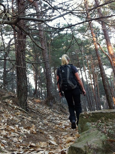 Unterwegs auf schmalen Pfaden