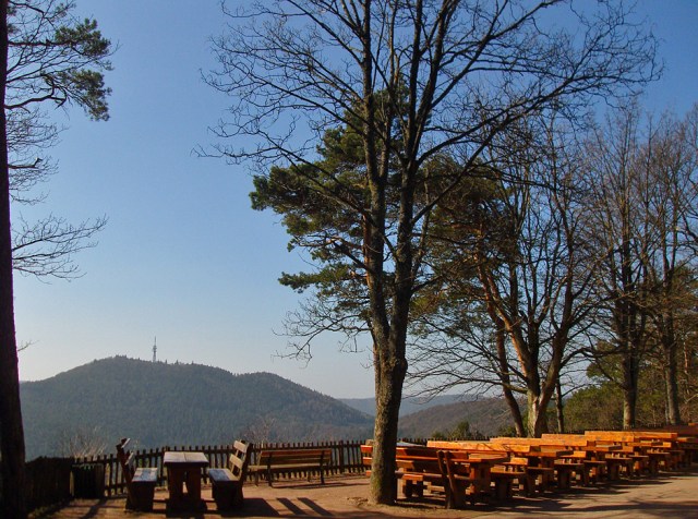 Blick vom Hohe Loog Haus auf den Kalmit