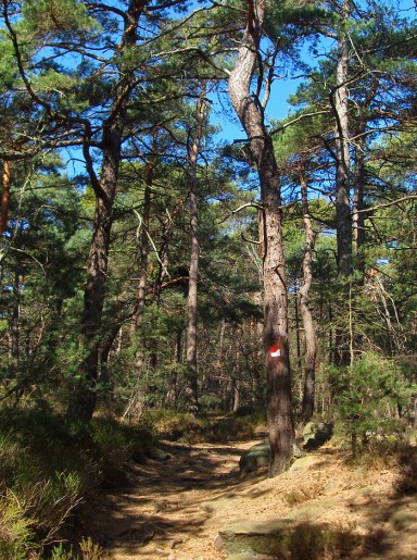 typische Beschriftung des Weinsteigs