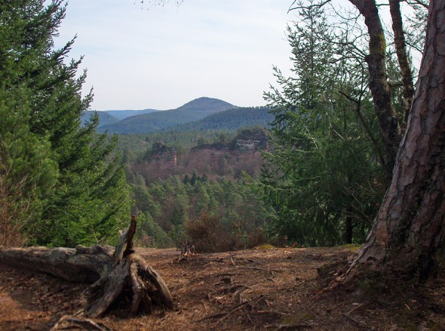 Aus- und Weitsichten