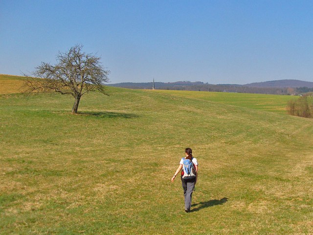 Wiesenpfade die über freie Flächen führen