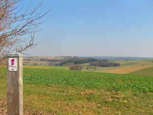 Vitaltour Willigisweg