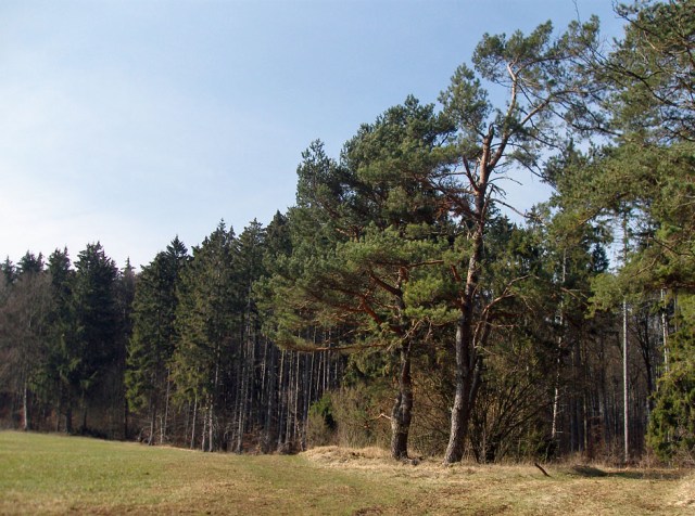 Naturbelassene Wege über Wiesen