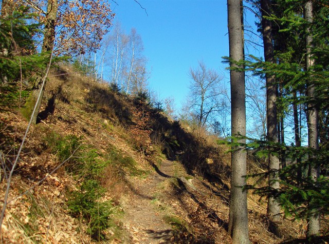 Blick zurück - Pfade Blick zurück - Pfade
