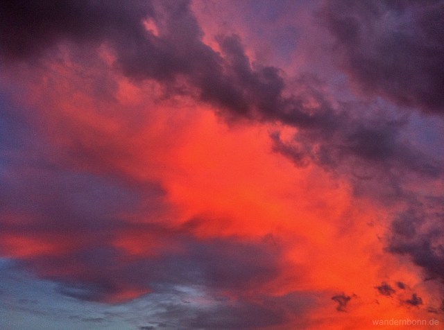 Sonnenuntergang mit Wolken - 29.08.2011 - 20:31 Uhr