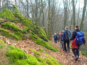 Gruppenwandern auf schmalen Pfaden