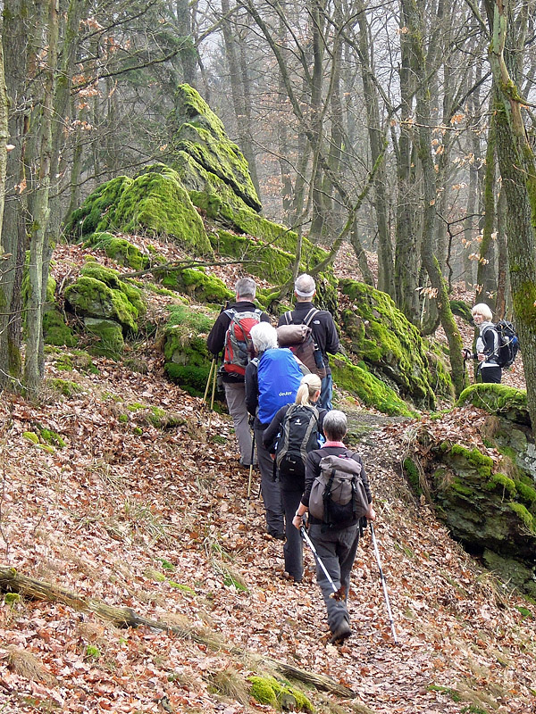auf schmalen Pfaden im Westerwald