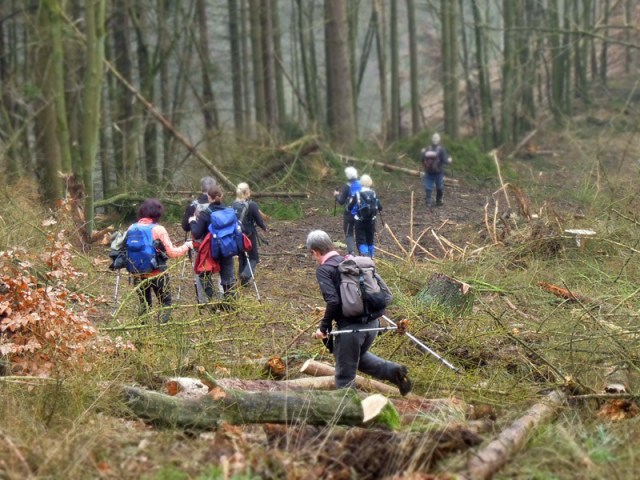 Über Stock und über Baum