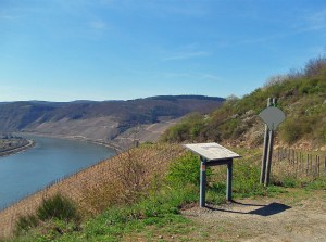 Infotafeln in den Weinbergen