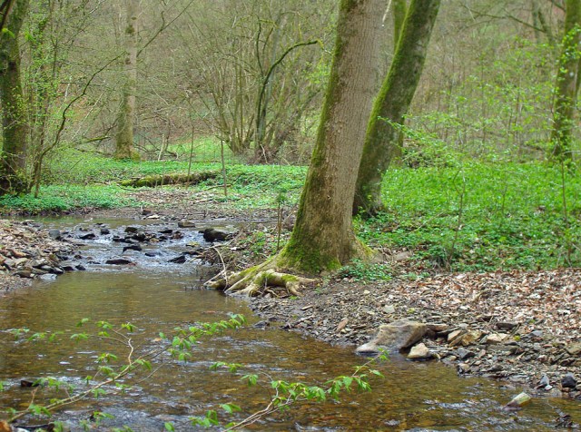 Kalter Bach - so heisst der - überprüft hab ich es nicht ;-)