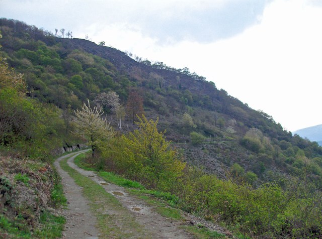 Bunte Frühlingsfarben, als hätte Monet kleine Tupfen gesetzt