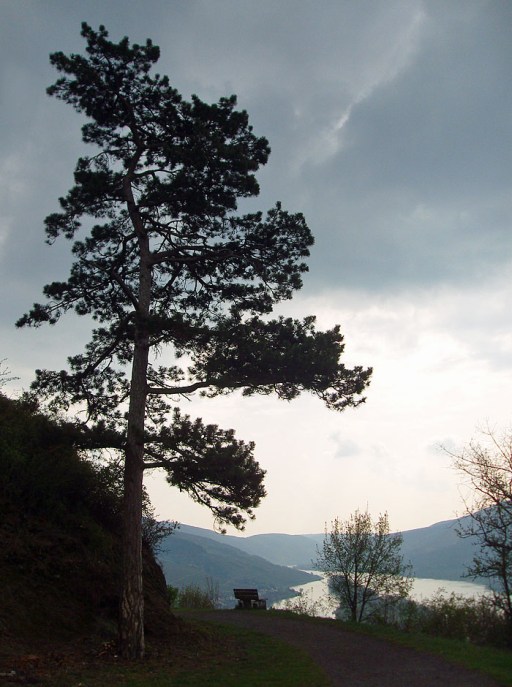 Blick von Ruine Nollig nach Süden