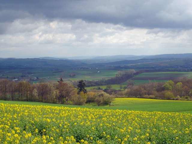 Weitblick bis zum Fernsehturm in Koblenz