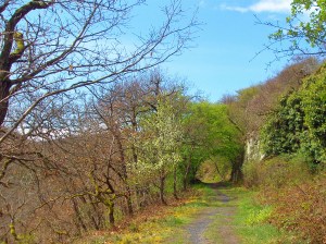 die Sonne lacht wieder