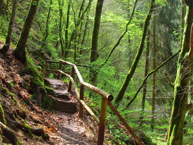 gesicherter Pfad an der Lieser gesicherter Pfad an der Lieser