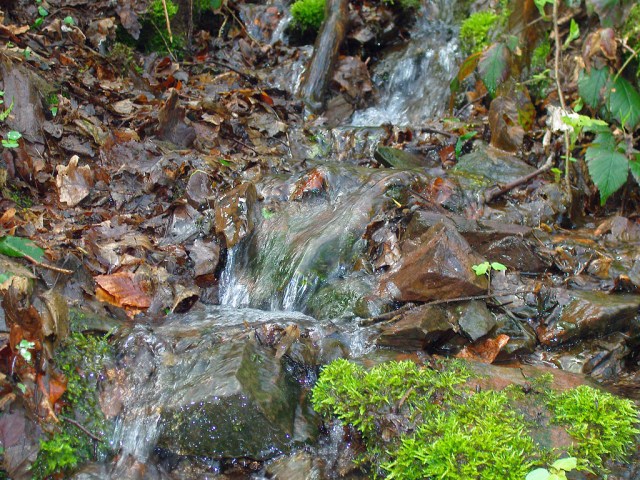 kleine Bäche - überall auf der Strecke kleine Bäche - überall auf der Strecke