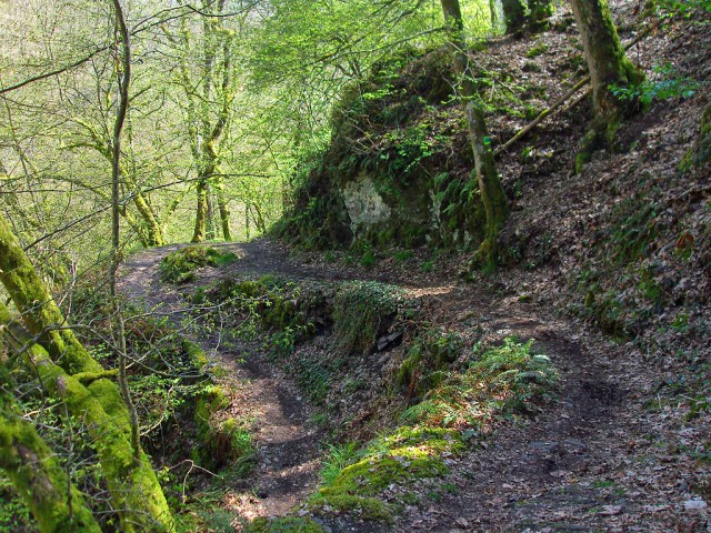 schmale Pfade führen in Kehren hinab