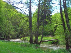 wackelige Brücke ohne Geländer