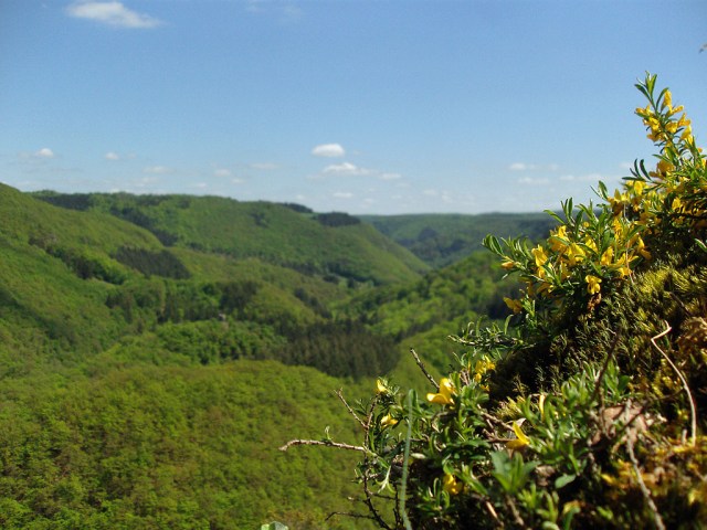 Das Üßbachtal mit der Entersburg
