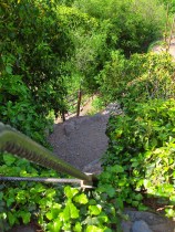 Die 3 Leitern von oben gesehen