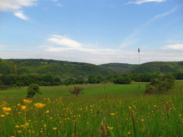 Blühende Wiesen Blühende Wiesen