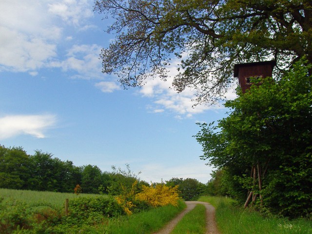 Blick zurück Blick zurück