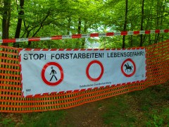 Forstarbeiten