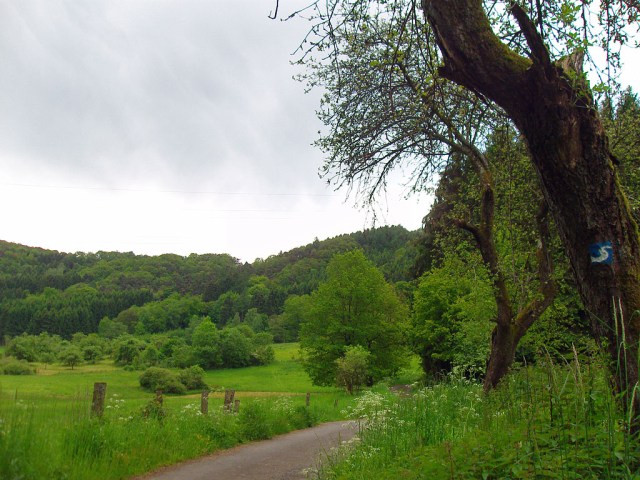 an der Schleife in Dreisel an der Schleife in Dreisel