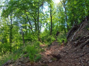 Blick zurück - der Weg bergab