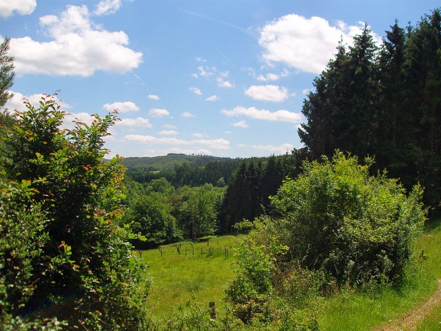 wieder hinab ins Tal