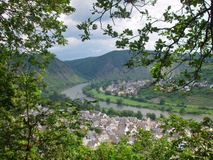 Moselblick