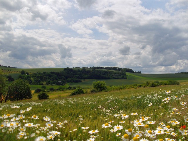 sanfte Hügel und bunte Felder