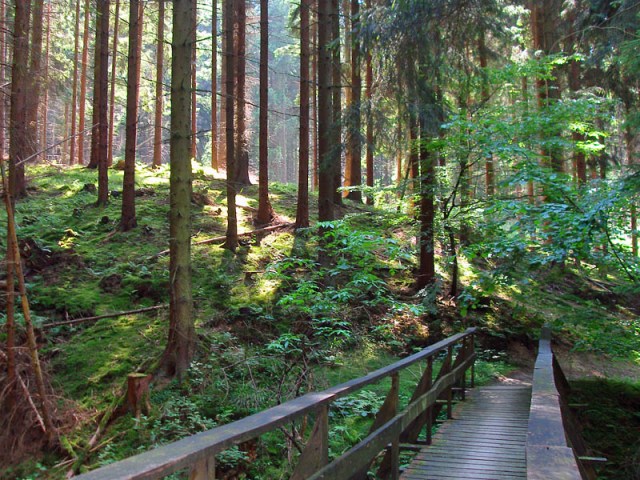 Pfade und vereinzelte Brücken führen entlang der Schmelztalstraße
