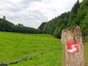 Am Ravensteiner Bach entlang