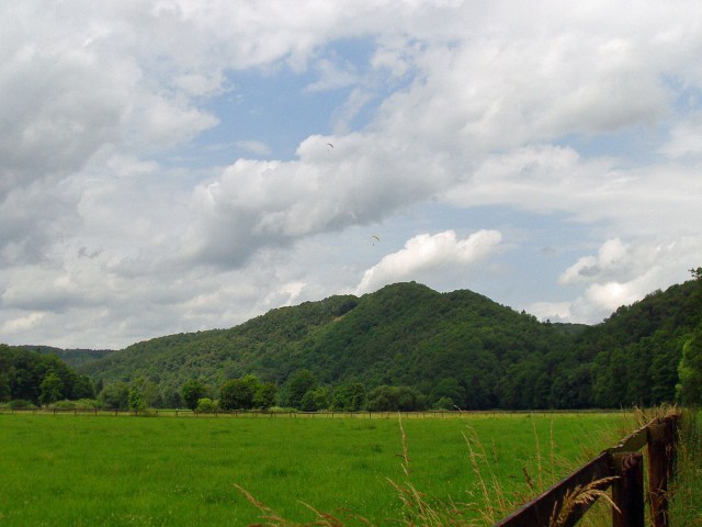 zwischen den Weiden der Blick auf den Stachelberg
