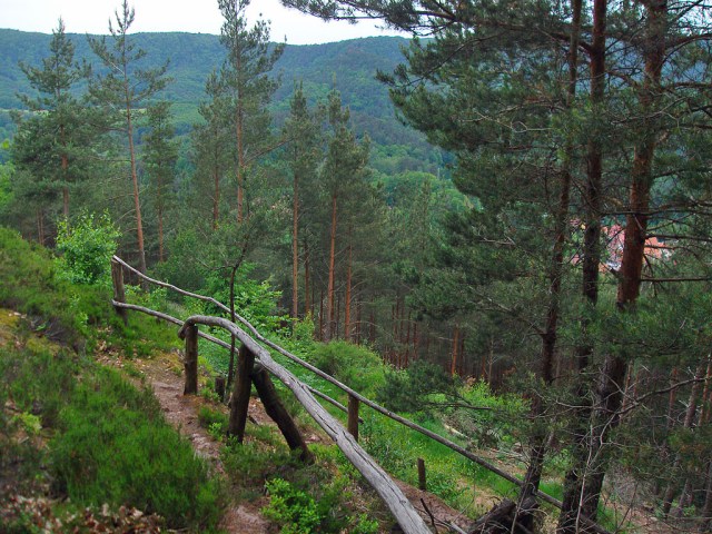 vom Häuselstein geht es steil aber gesichert hinab