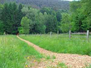 der neue Weg mit Brücke