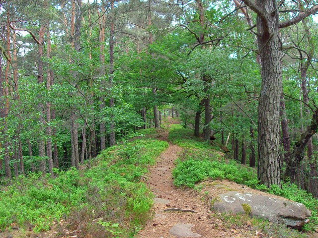 Pfad oberhalb der Kühungerfelsen