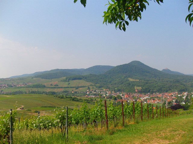 Blick von den Weinlagen in Richtung Süden Blick von den Weinlagen in Richtung Süden